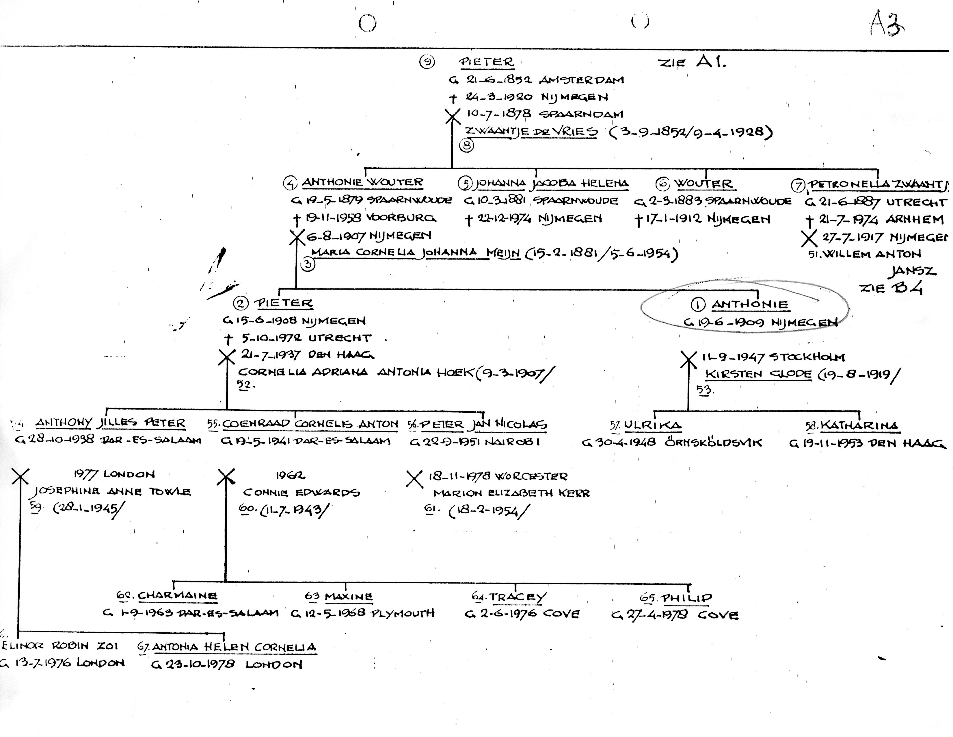 Jansz Pedigree Chart